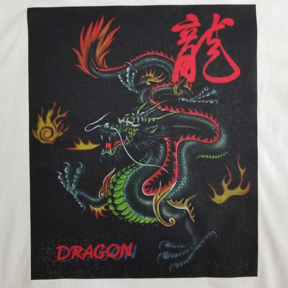 🆕 GILDAN G640 "SOFT STYLE" Custom Tee - Picture 6 of 7